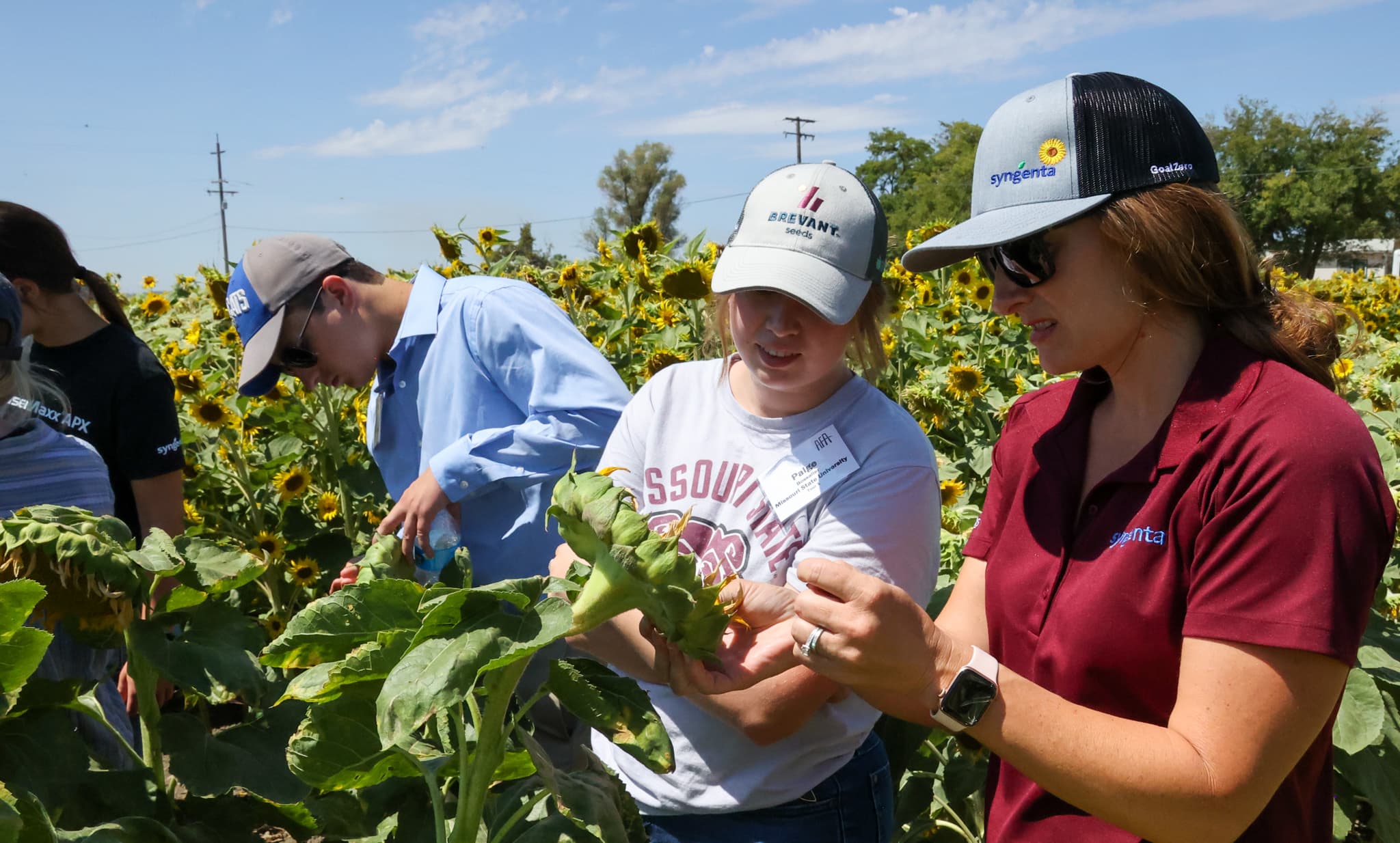 crop-science-institute-agriculture-future-of-america