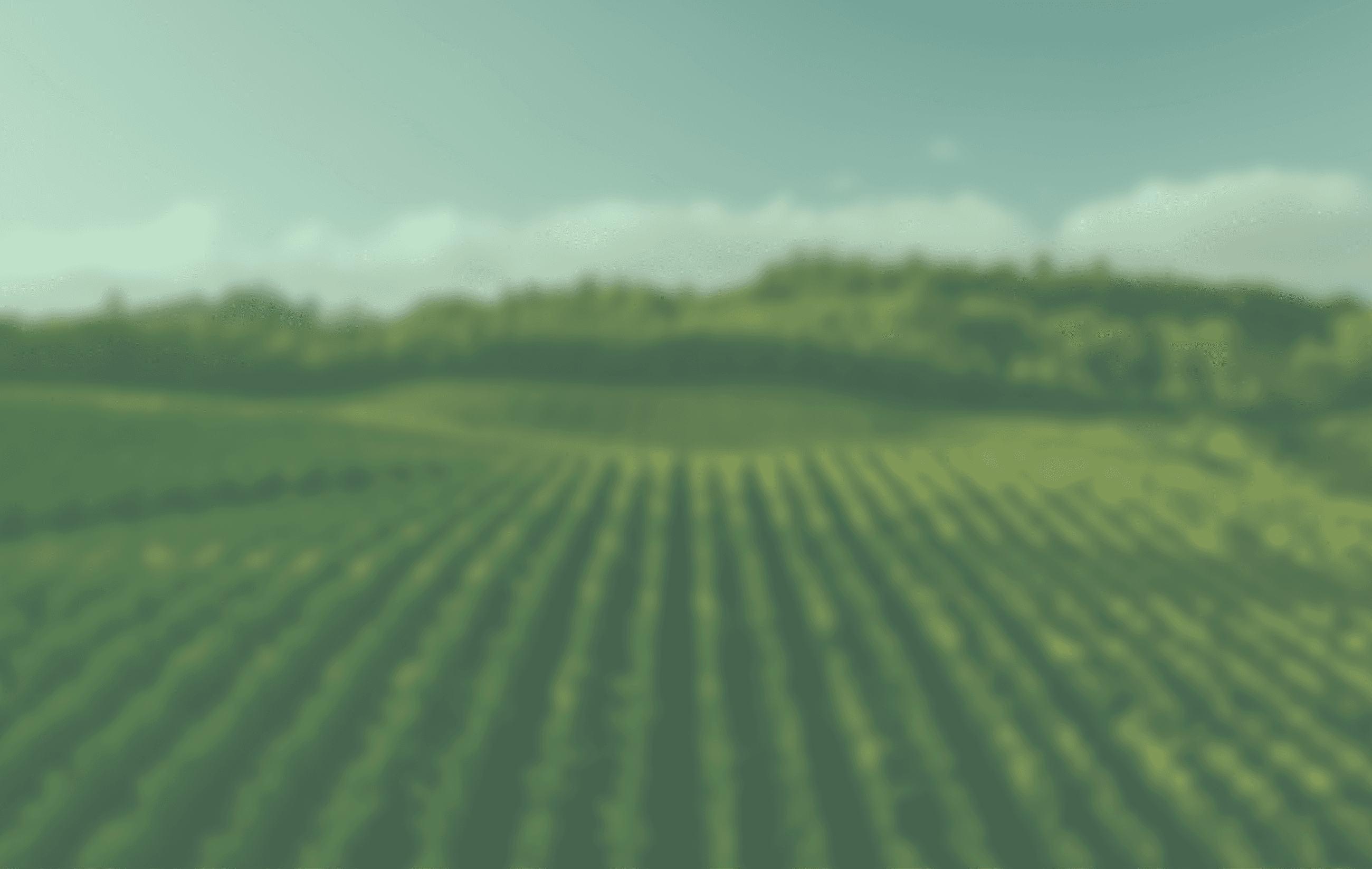 Field