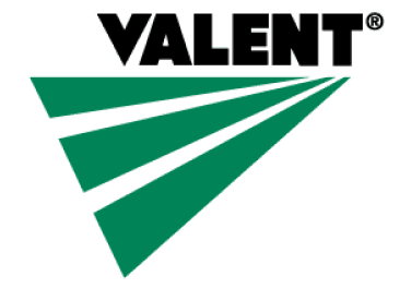 Valent