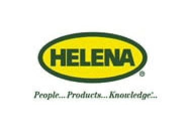 Helena