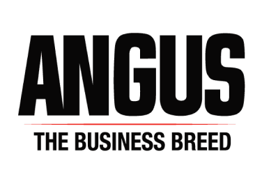 Angus